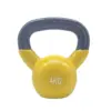Molded Plastic Dip Dumbbell