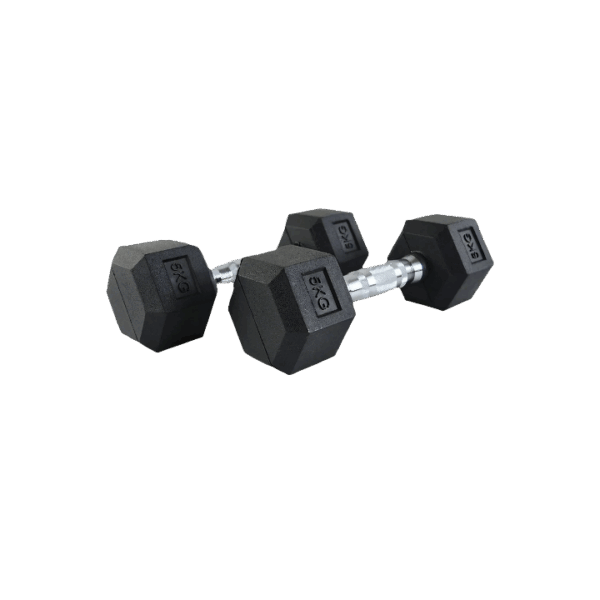 result (2) Solid Iron Hex Dumbbell